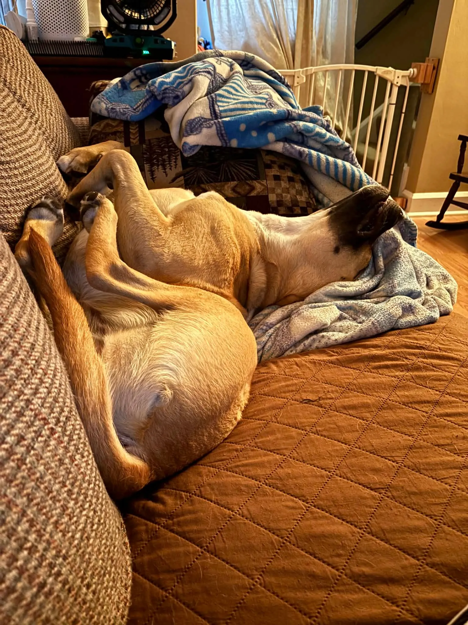 Penelope, photo 3