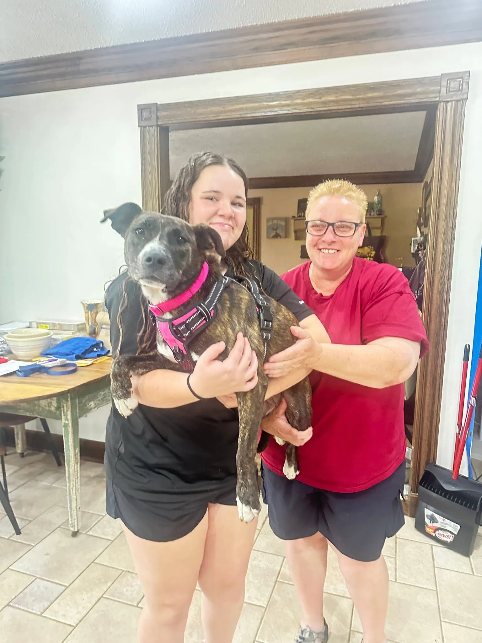 Photo of Meatball Daisy