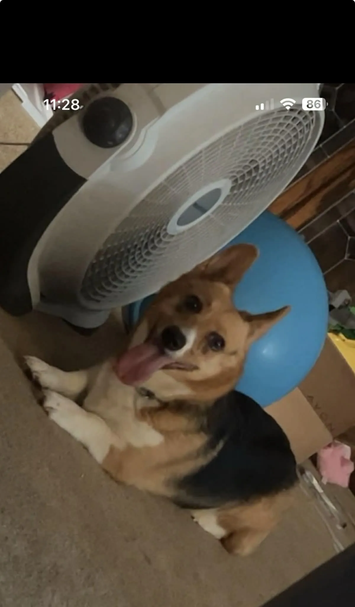 Photo of Smore